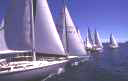 sailing thumbnail