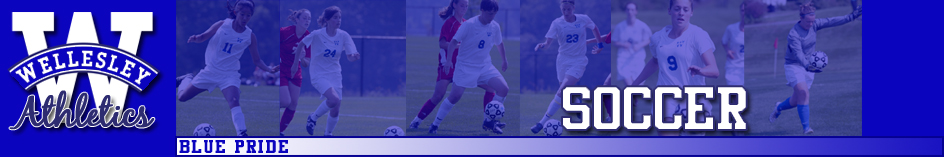 Wellesley College Soccer Banner