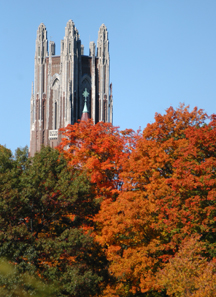 Galen Stone Tower fall view