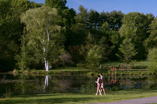 Paramecium Pond